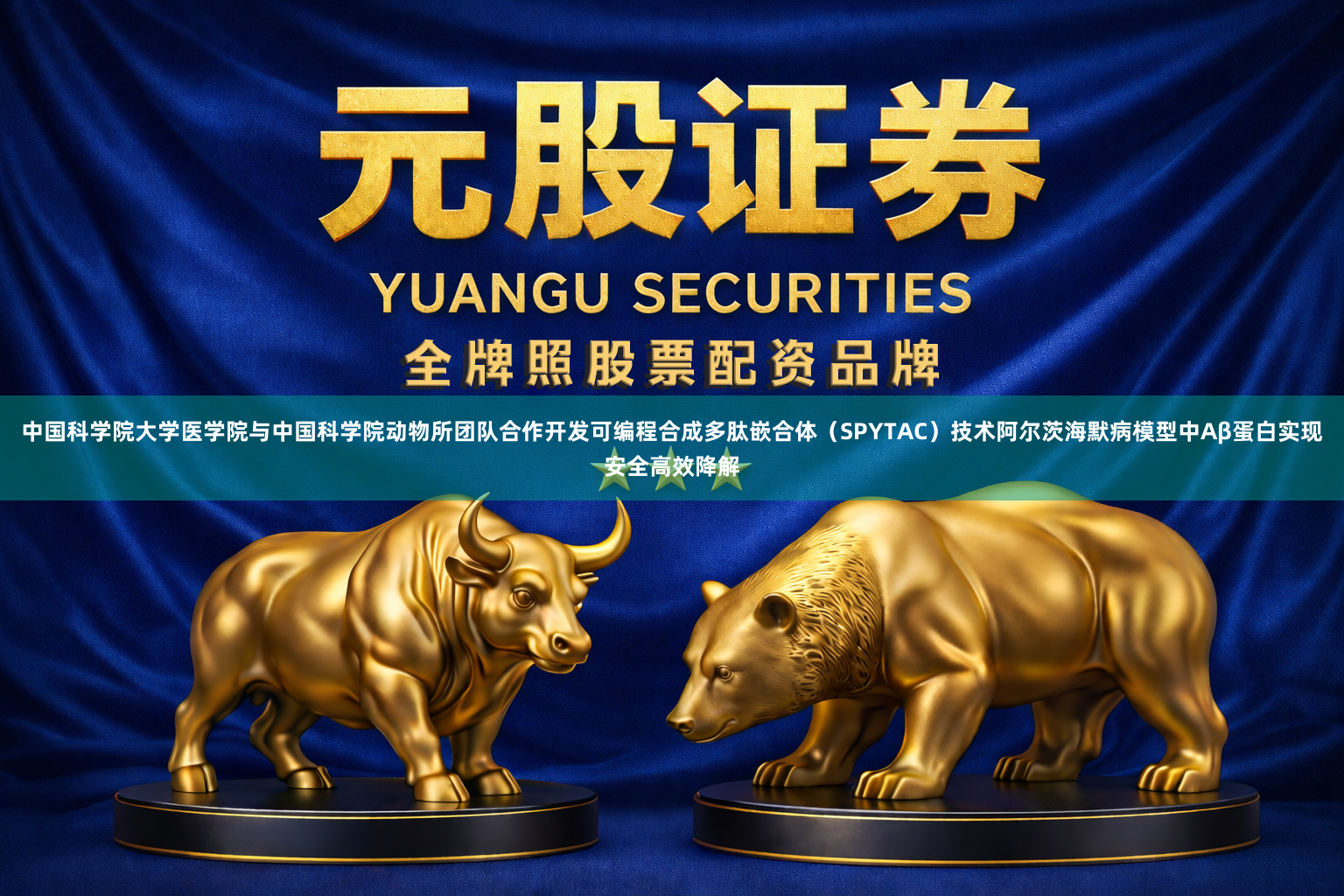 中国科学院大学医学院与中国科学院动物所团队合作开发可编程合成多肽嵌合体(SPYTAC)技术阿尔茨海默病模型中Aβ蛋白实现安全高效降解
