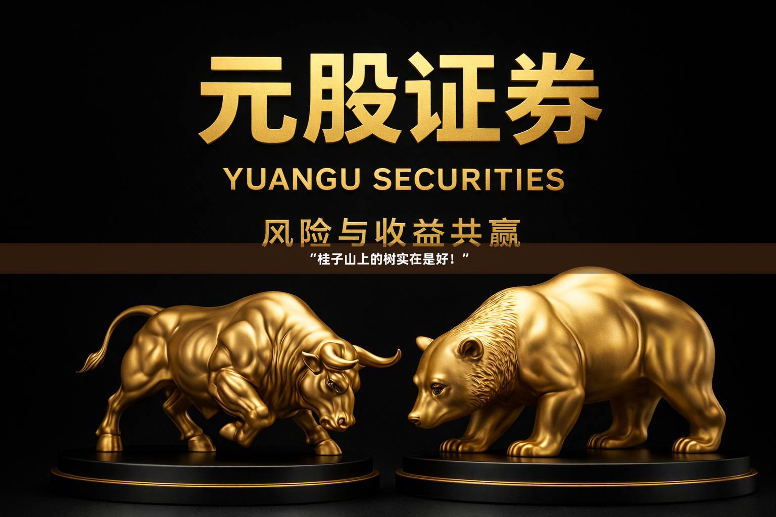 “桂子山上的树实在是好！”